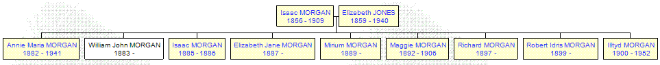 Mini tree diagram