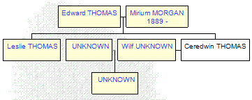 Mini tree diagram