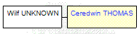 Mini tree diagram