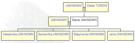 Mini tree diagram
