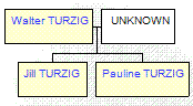 Mini tree diagram