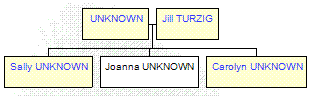 Mini tree diagram