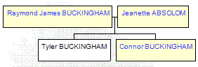 Mini tree diagram