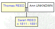 Mini tree diagram