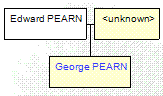 Mini tree diagram