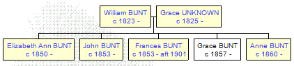 Mini tree diagram